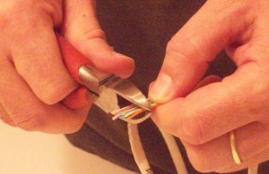 Cut UTP wires